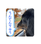 くぅ【改訂版】（個別スタンプ：16）