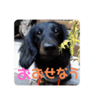 くぅ【改訂版】（個別スタンプ：19）