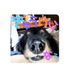 くぅ【改訂版】（個別スタンプ：21）