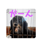くぅ【改訂版】（個別スタンプ：23）