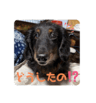 くぅ【改訂版】（個別スタンプ：24）