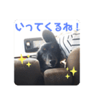 くぅ【改訂版】（個別スタンプ：25）