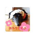 くぅ【改訂版】（個別スタンプ：26）