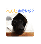 くぅ【改訂版】（個別スタンプ：27）