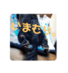 くぅ【改訂版】（個別スタンプ：28）