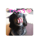 くぅ【改訂版】（個別スタンプ：29）