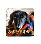 くぅ【改訂版】（個別スタンプ：32）