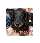 くぅぽん2（個別スタンプ：8）