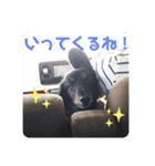 くぅぽん2（個別スタンプ：9）