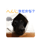 くぅぽん2（個別スタンプ：11）