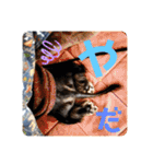 くぅぽんDX（個別スタンプ：3）