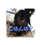 くぅぽんDX（個別スタンプ：12）