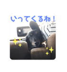 くぅぽんDX（個別スタンプ：25）