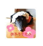 くぅぽんDX（個別スタンプ：26）