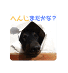 くぅぽんDX（個別スタンプ：27）