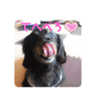 くぅぽんDX（個別スタンプ：28）