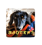くぅぽんDX（個別スタンプ：32）
