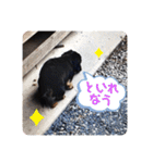 くぅぽんDX（個別スタンプ：36）
