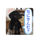 くぅぽんDX（個別スタンプ：39）