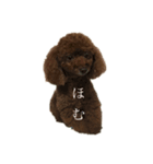 pashopi（個別スタンプ：8）
