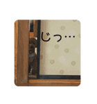 マルプーのマロン③（個別スタンプ：5）