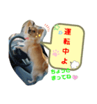 ナナちゃんスタンプ【よく使うワン】（個別スタンプ：14）