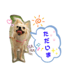 ナナちゃんスタンプ【よく使うワン】（個別スタンプ：15）