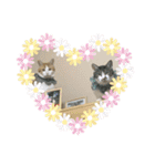 ジョイにゃんこ②（個別スタンプ：8）
