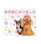 マティラとノアールのかわいい世界（個別スタンプ：2）