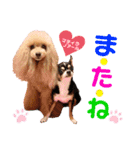 マティラとノアールのかわいい世界（個別スタンプ：3）