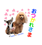 マティラとノアールのかわいい世界（個別スタンプ：4）