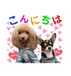 マティラとノアールのかわいい世界（個別スタンプ：5）