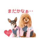 マティラとノアールのかわいい世界（個別スタンプ：6）