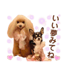 マティラとノアールのかわいい世界（個別スタンプ：9）