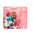 マティラとノアールのかわいい世界（個別スタンプ：11）