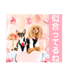 マティラとノアールのかわいい世界（個別スタンプ：12）