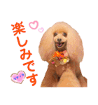 マティラとノアールのかわいい世界（個別スタンプ：20）