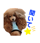 マティラとノアールのかわいい世界（個別スタンプ：22）
