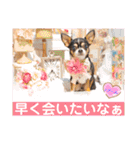 マティラとノアールのかわいい世界（個別スタンプ：23）