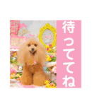 マティラとノアールのかわいい世界（個別スタンプ：30）