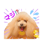 マティラとノアールのかわいい世界（個別スタンプ：32）