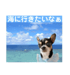 マティラとノアールのかわいい世界（個別スタンプ：33）