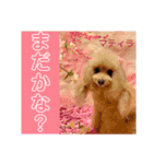 マティラとノアールのかわいい世界（個別スタンプ：36）