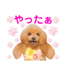 マティラとノアールのかわいい世界（個別スタンプ：40）