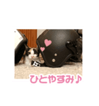 猫のミーとチビ（個別スタンプ：4）