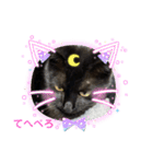黒猫こったん 4（個別スタンプ：4）