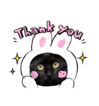 黒猫こったん 4（個別スタンプ：5）
