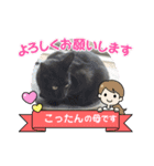 黒猫こったん 4（個別スタンプ：8）