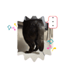黒猫こったん 4（個別スタンプ：13）