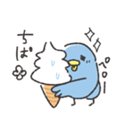 ちぱま鳥（個別スタンプ：13）